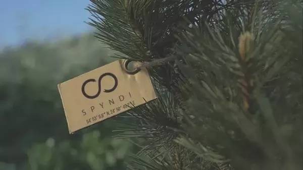 產(chǎn)品設(shè)計 產(chǎn)品設(shè)計